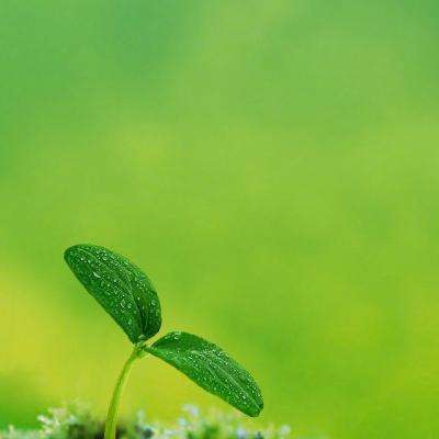 逍遥九歌行游戏下载