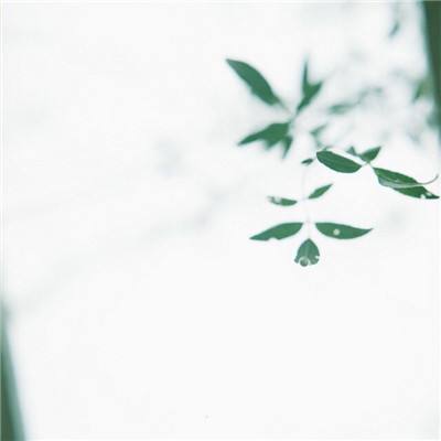 塔防三国志渠道版下载
