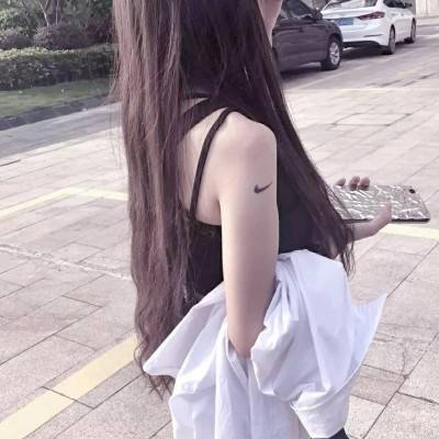海豚撞击内购破解版下载